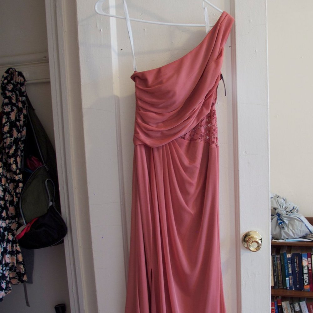 David's Bridal - One-Shoulder Mesh Dress w/ Lace Inset - Sedona, Size 4 (F19419)